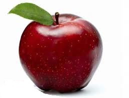 اللجنة الفنية لقطاع المنتجات الغذائية